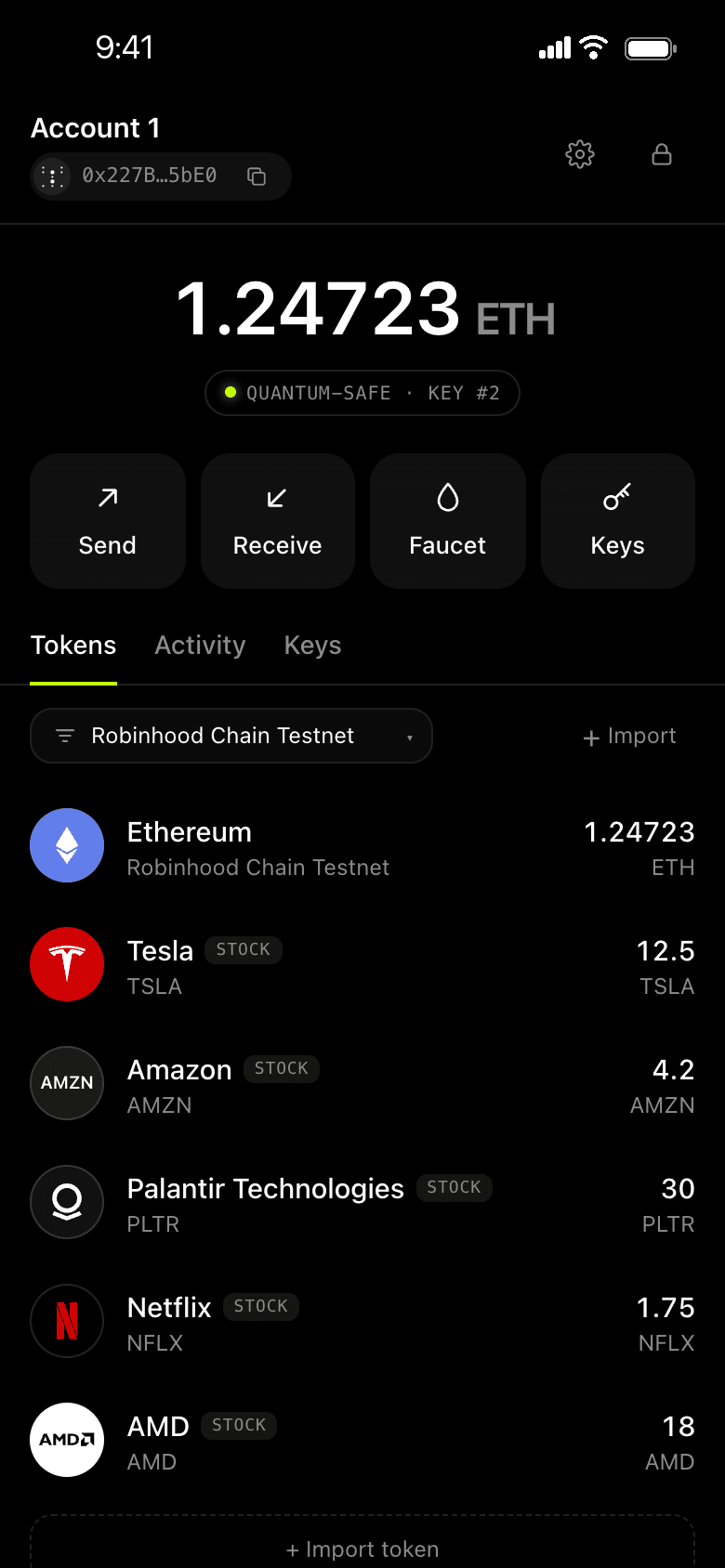 Winternitz wallet showing ETH and Robinhood Stock Token balances